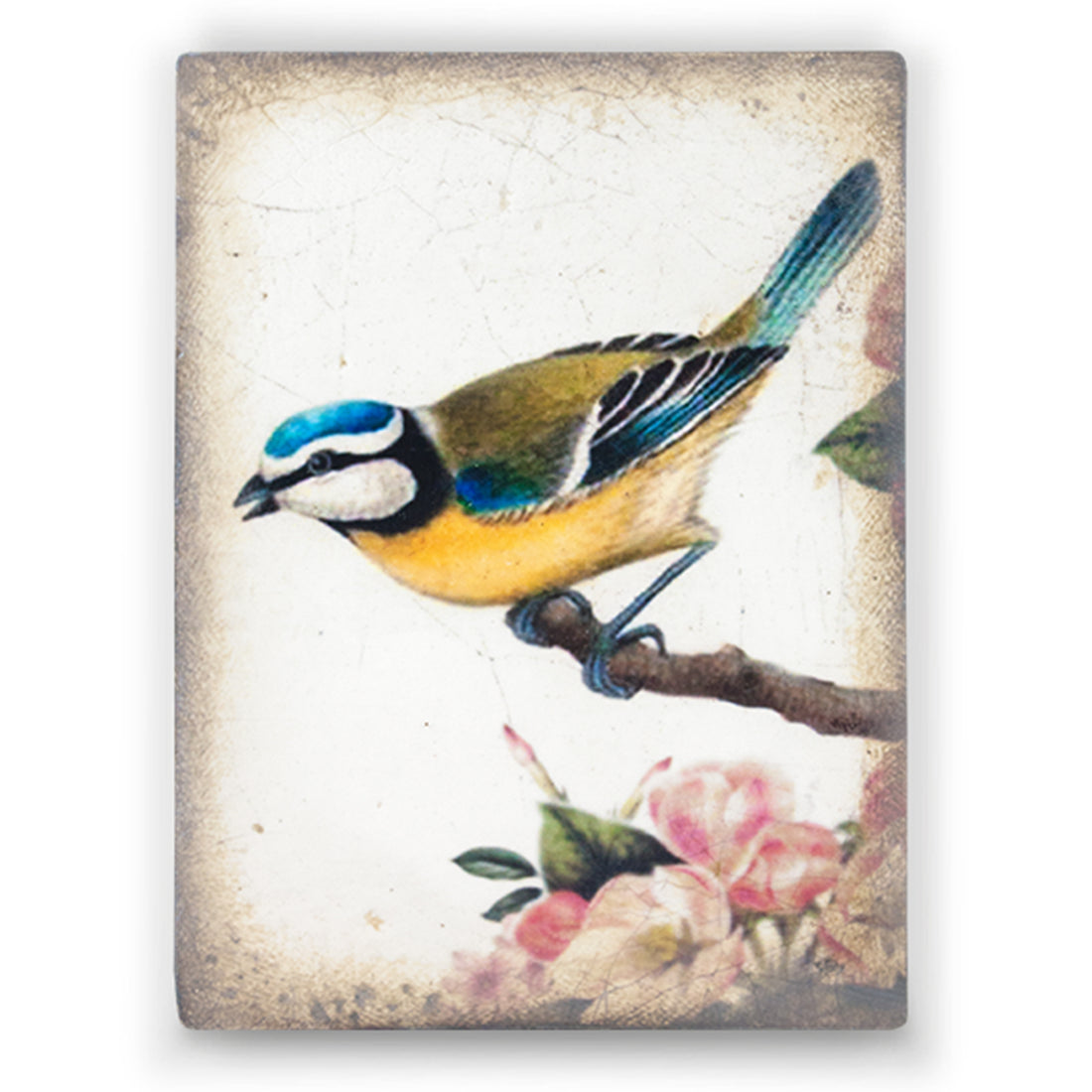 Songbird T367 (Retired) | Sid Dickens Memory Block