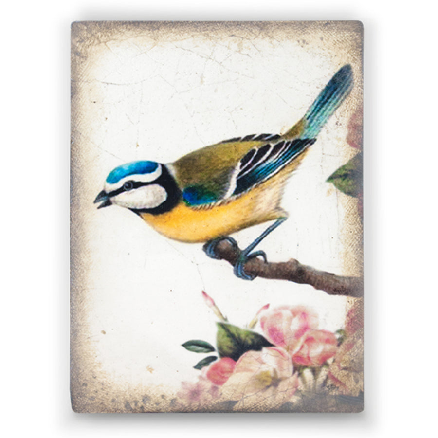 Songbird T367 (Retired) | Sid Dickens Memory Block