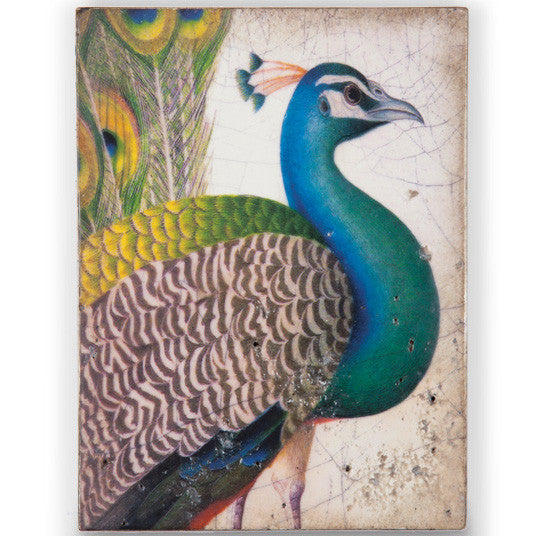Fabled Bird - Artisan's Bench - 1