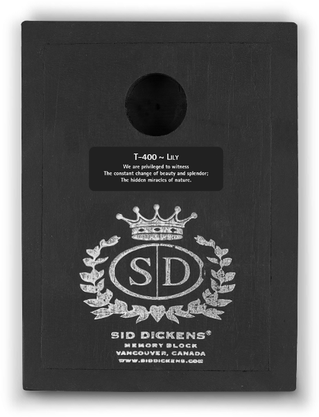 Lily T400 (Retired) | Sid Dickens Memory Block