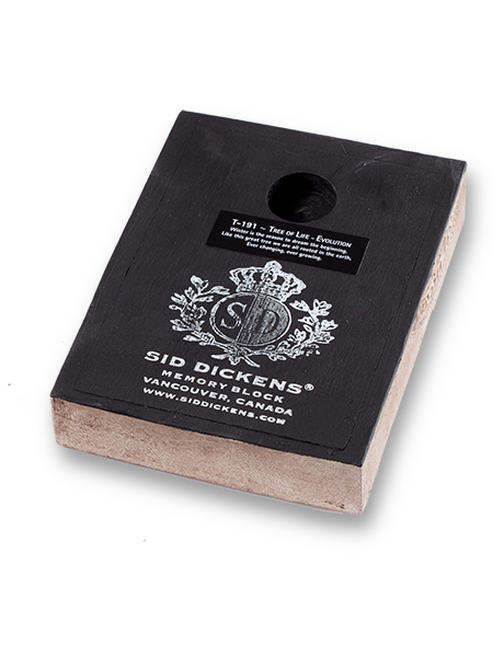 Tree of Life-Evolution - Artisan's Bench - 3