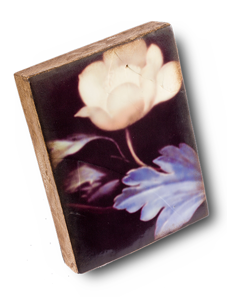 Nocturne (Retired) - Artisan's Bench - 2