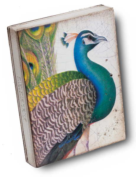 Fabled Bird - Artisan's Bench - 2