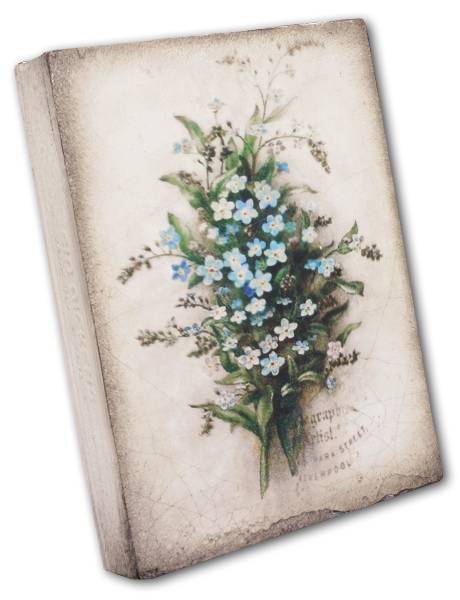 Forget Me Not T444 | Sid Dickens Memory Block