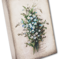 Forget Me Not T444 | Sid Dickens Memory Block