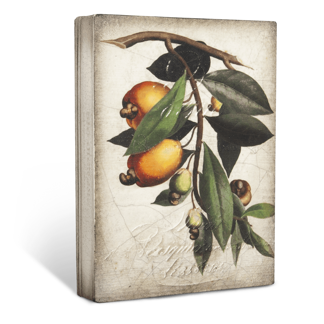 Cashew Apple T446 (Retired) | Sid Dickens Memory Block