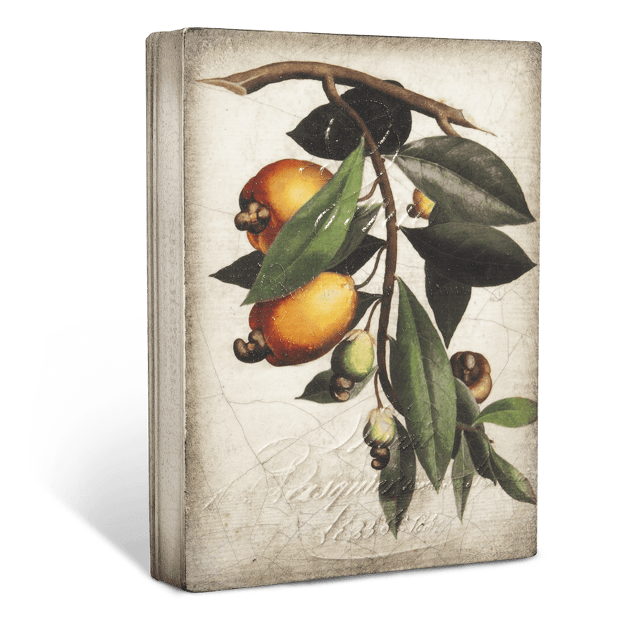 Cashew Apple T446 (Retired) | Sid Dickens Memory Block