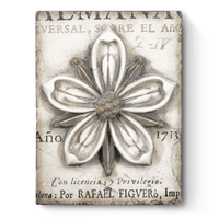 Cosmopolitan Flower T449 | Sid Dickens Memory Block