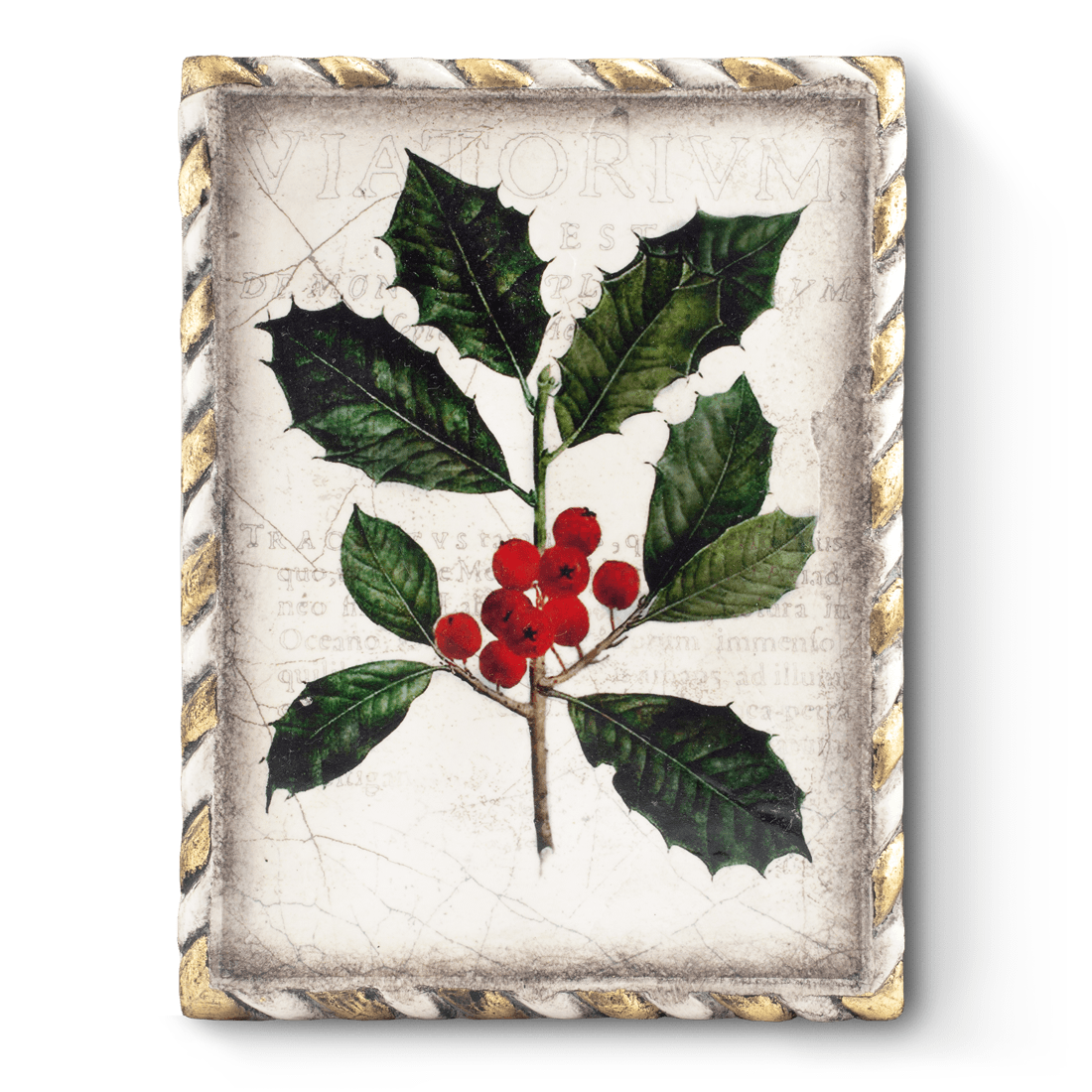Winterberry T456 (Retired) | Sid Dickens Memory Block