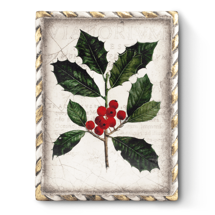 Winterberry T456 (Retired) | Sid Dickens Memory Block