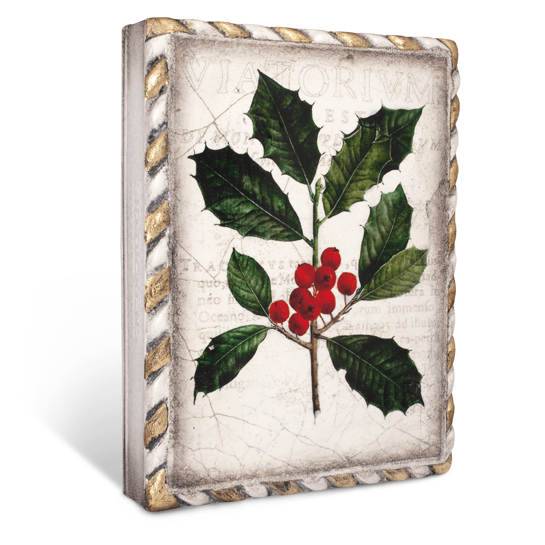 Winterberry T456 (Retired) | Sid Dickens Memory Block