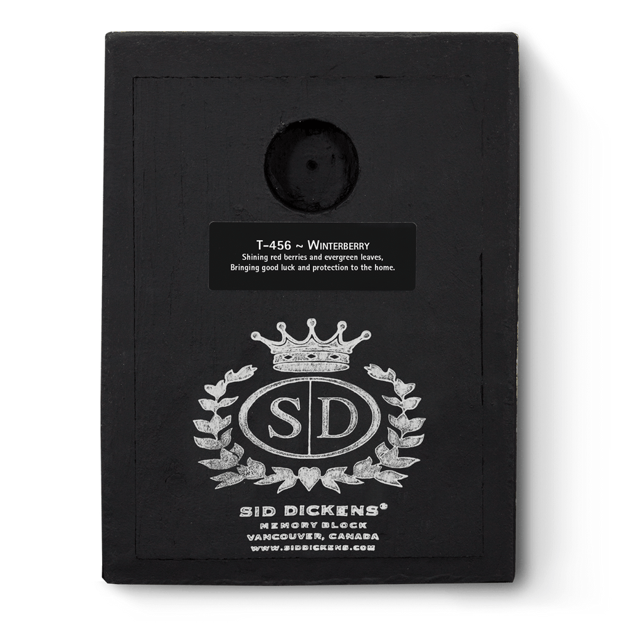 Winterberry T456 (Retired) | Sid Dickens Memory Block