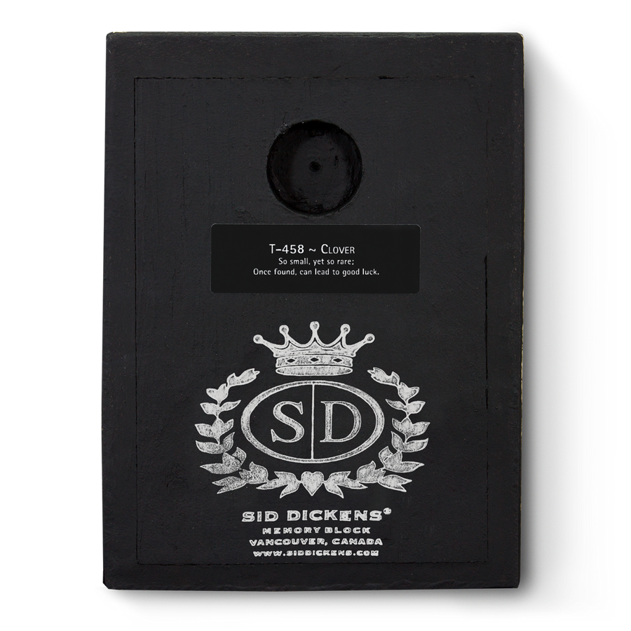 Clover T458 (Retired) | Sid Dickens Memory Block