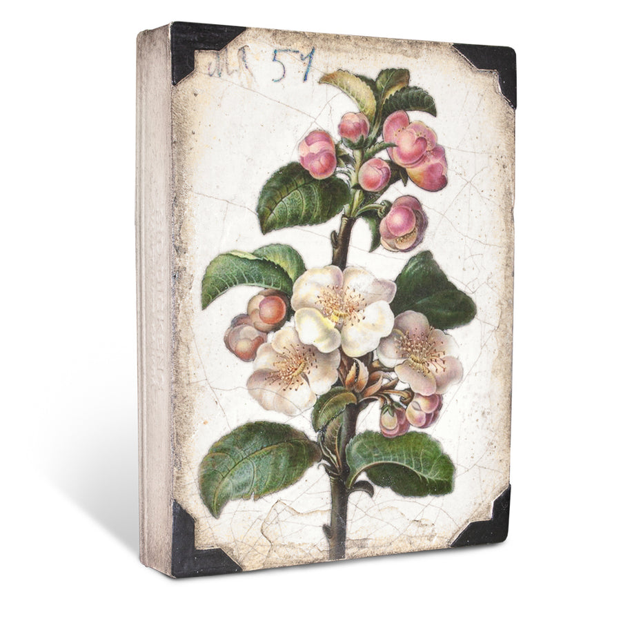 Apple Blossom T462 (Retired) | Sid Dickens Memory Block