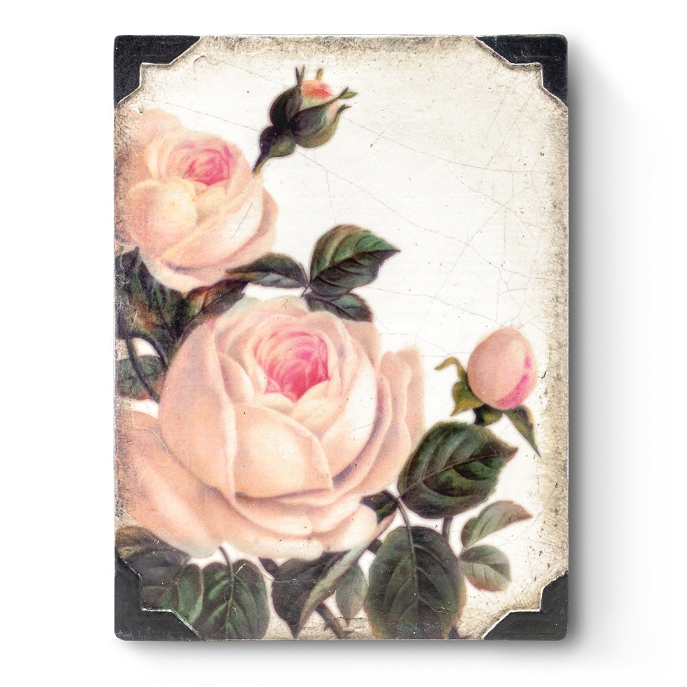 Gentle Rose T464 (Retired) | Sid Dickens Memory Block