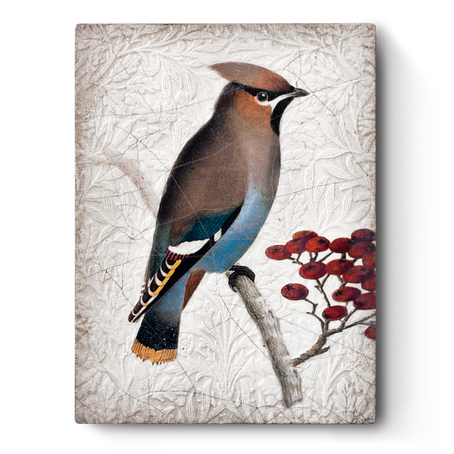 Waxwing T485 (Retired) | Sid Dickens Memory Block