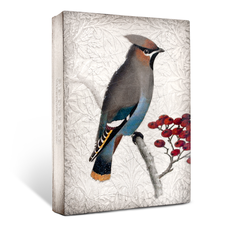 Waxwing T485 (Retired) | Sid Dickens Memory Block