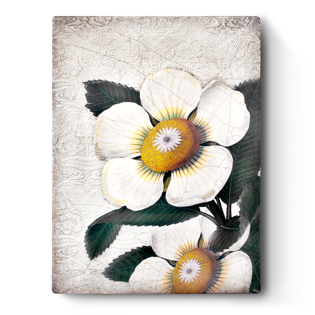 White Blossoms T487 (Retired) | Sid Dickens Memory Block