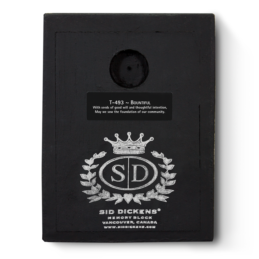Bountiful T493 (Retired) | Sid Dickens Memory Block