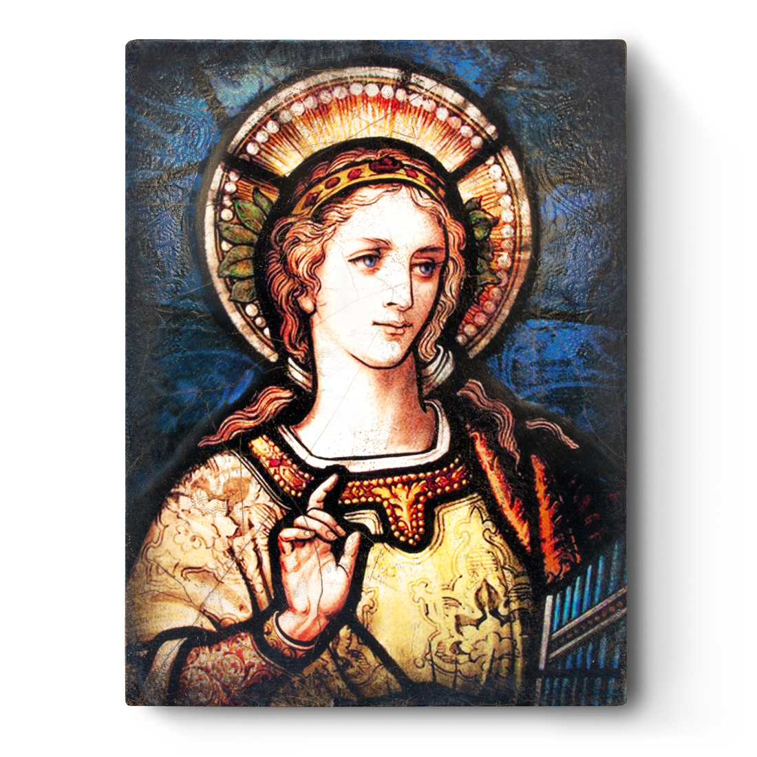 Saint Cecilia T495 (Retired) | Sid Dickens Memory Block