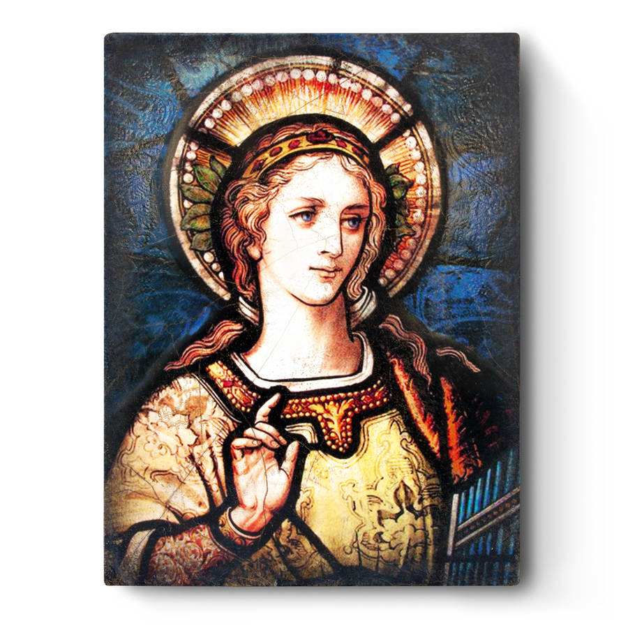 Saint Cecilia T495 (Retired) | Sid Dickens Memory Block