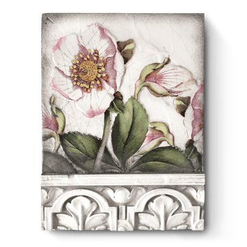 Hellebores T501 | Sid Dickens Memory Block