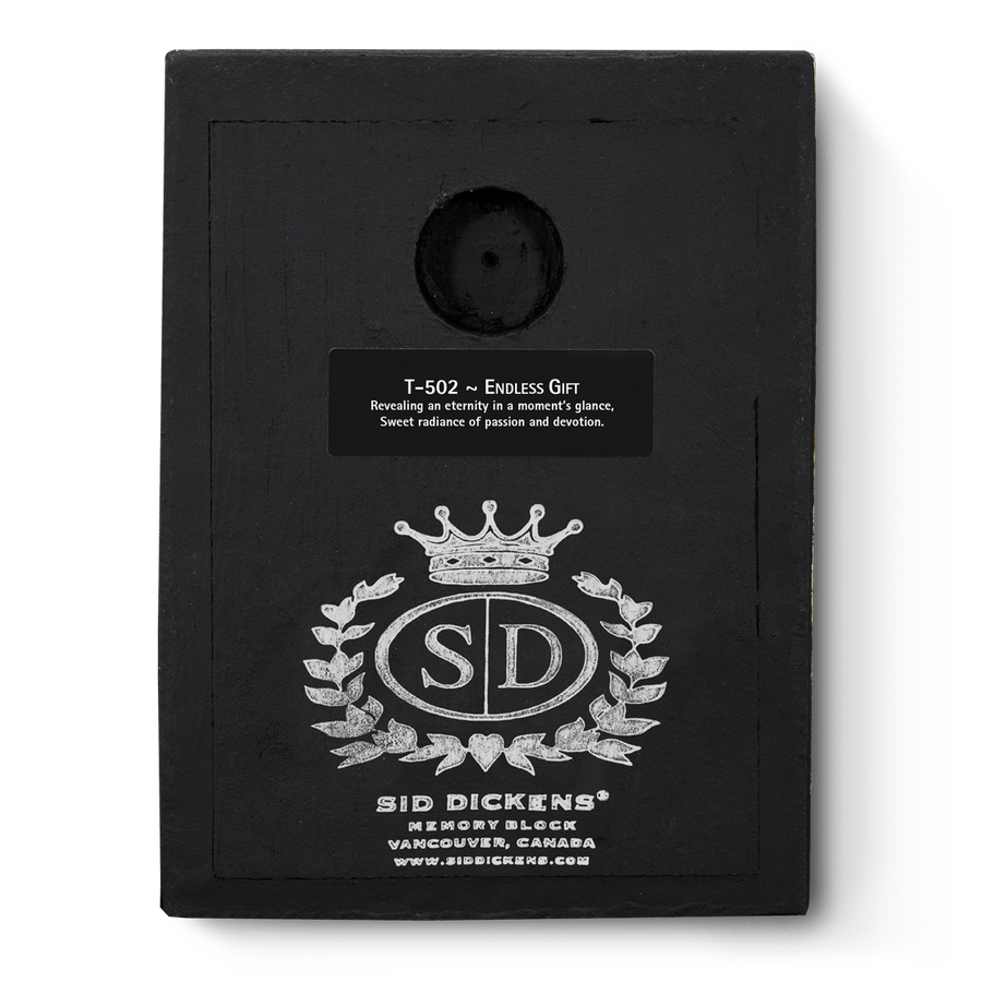 Endless Gift T502 (Retired) | Sid Dickens Memory Block