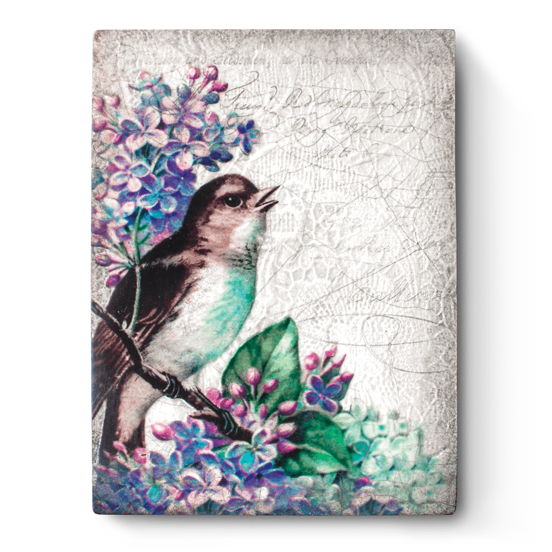 Sweet Beauty T505 (Retired) | Sid Dickens Memory Block