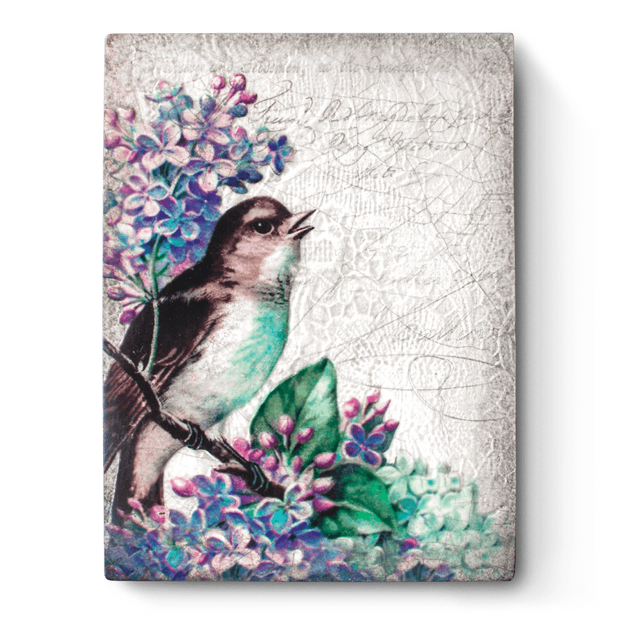 Sweet Beauty T505 (Retired) | Sid Dickens Memory Block
