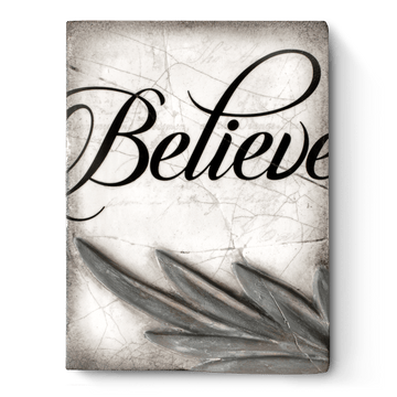 Believe T508 | Sid Dickens Memory Block