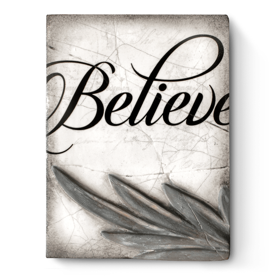 Believe T508 | Sid Dickens Memory Block