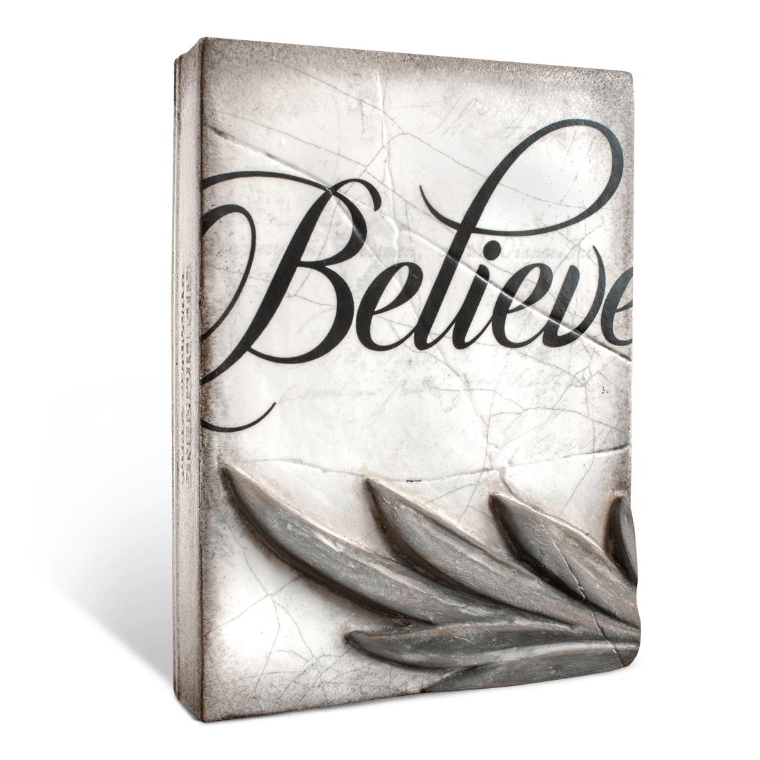 Believe T508 | Sid Dickens Memory Block