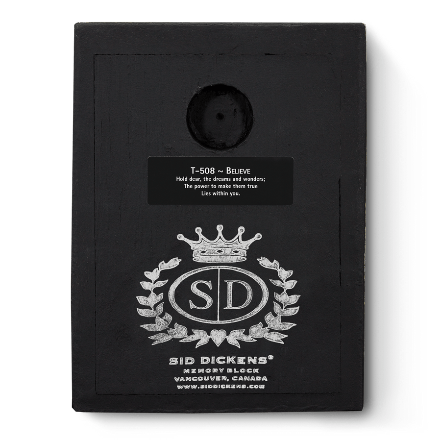 Believe T508 | Sid Dickens Memory Block