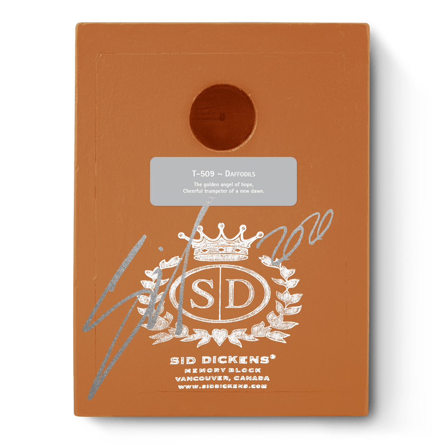 Daffodils T510 (Retired) | Sid Dickens Memory Block