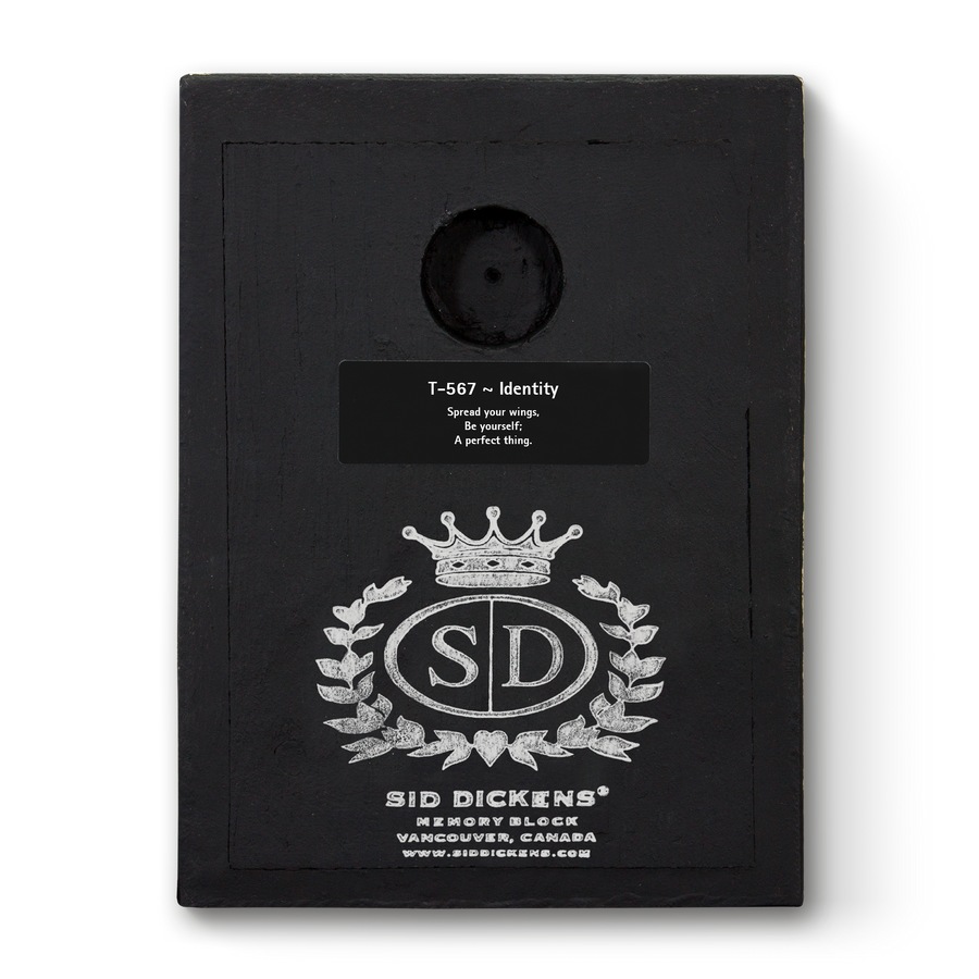 Identity T567 (Retired) | Sid Dickens Memory Block