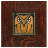 Motawi Owl in Green Oak - 4x4 - Artisan's Bench