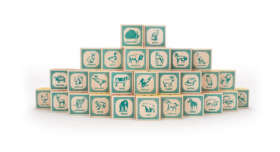 Spanish Character Blocks